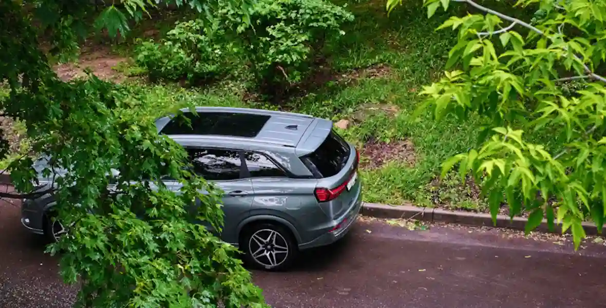 Рассуждения о рестайлинге EVOLUTE i‑SPACE и летний фотосет