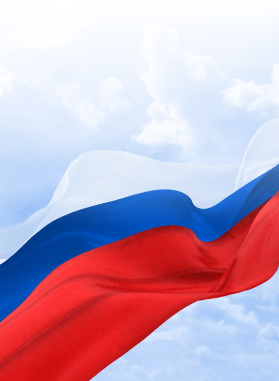 Государственная поддержка 